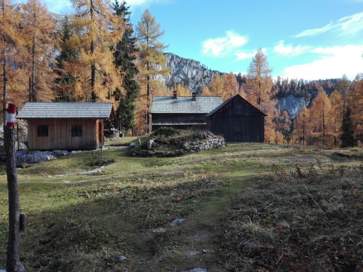 Ferienwohnung Wohlfahrter Bad Mitterndorf Ngoại thất bức ảnh